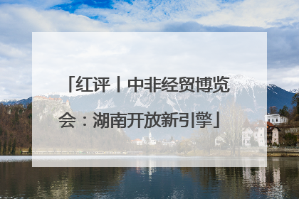 红评丨中非经贸博览会：湖南开放新引擎